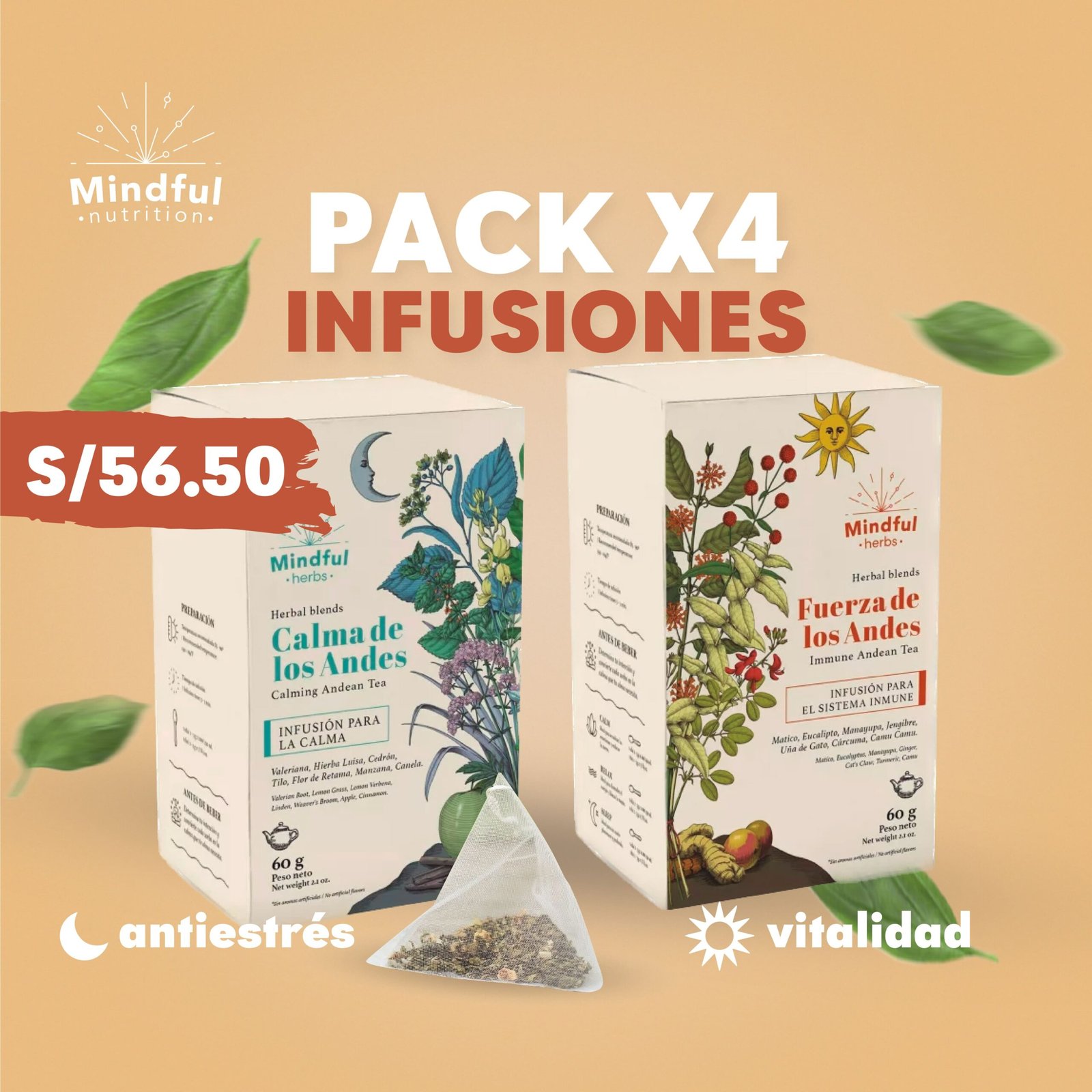 Pack x 4 - Infusiones Filtrantes - Imagen 2